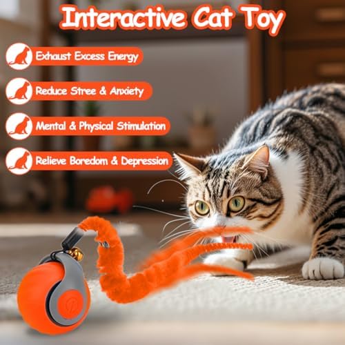 Mity rain Interactive Cat Toy Ball, Rechargeable Cat Toys for Indoor Cats | with Feather Tails for Kittens Chasing, Motion Activated Ball for Enrichment, Automatic Rolling Toys to Keep Them Busy Orange