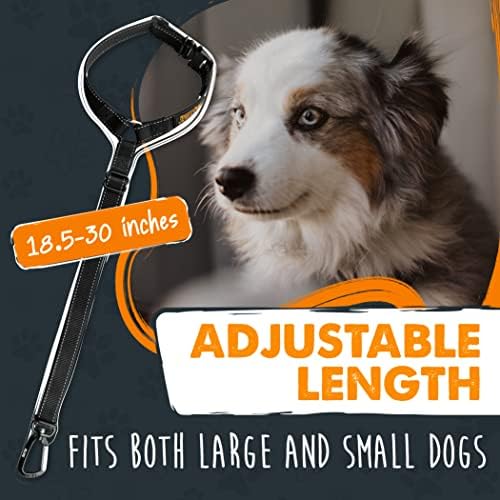 Mighty Paw Dog Seat Belt for Car - Headrest, Small/Medium/Large Dogs