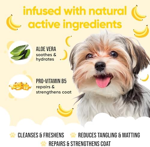 Banana Dog Shampoo by Buddycare | Deep Cleansing Shampoo for Dogs | Banana Scented | with Aloe Vera and Pro Vitamin B5 (16.9oz)