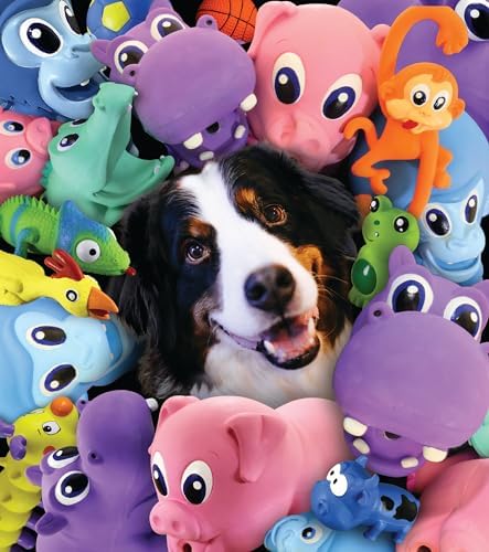 PetSport Naturflex Large Triceratops Latex Dog Chew Toy | All-Natural Soft, Squeaky, Non-Toxic Rubber Chew Toy | Safe for Indoor Play | 8"
