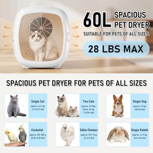 1200W High Velocity Pet Dryer Box for Cats & Small Dogs, Automatic Lonic Full-Body Fast Drying Box with 5 Temp Modes & Adjustable Wind,Low Noise Smart Soft Hair Grooming Dryer with 3 Towels(60L,White)