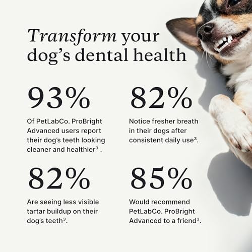 PetLab Co. ProBright Advanced Dental Powder, Large Dogs, 30 Scoops