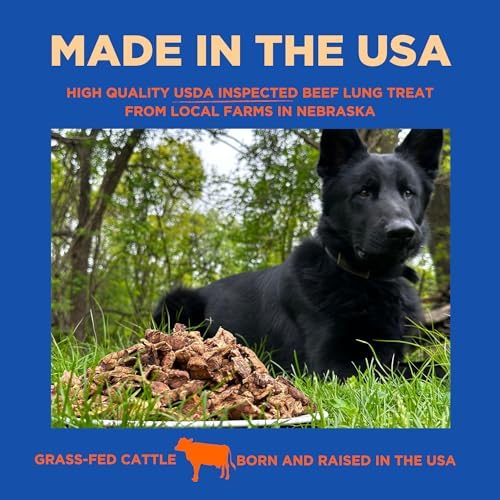 PAWW CHEW Beef Lung Dog Treats - Single Ingredient, High Protein, 1 LB
