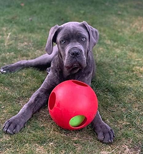 Jolly Pets Teaser Ball Interactive Dog Toy, 8 in Large, Red | Ball-within-a-ball puzzle toy that floats - add peanut butter to the inner ball for extra fun