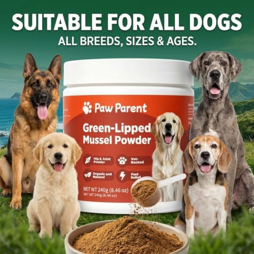 Paw Parent Green Lipped Mussel Secret Powder for Dogs Macho S Care (2pcs)