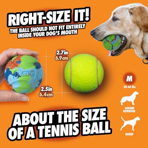 Chuckit! EcoFetch Fetch Ball Dog Toy, Medium (2.5 Inch Diameter) Pack of 1, for Breeds 20-60 lbs
