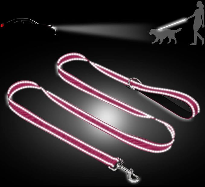 Taglory 10"-16" Dog Collar and 5 FT Dog Leash Set, Highly Reflective Threads Dog Leash, Adjustable Reflective Dog Collar with Safety Locking Buckle for Small Dogs