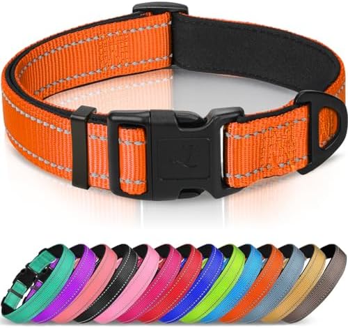 Joytale Reflective Dog Collar, Adjustable Neoprene Padded, Orange M