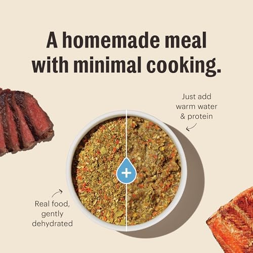 Honest Kitchen Wholemade Grain-Free Dog Food Base Mix - Veggie, Nut & Seed, 7 lb Bag