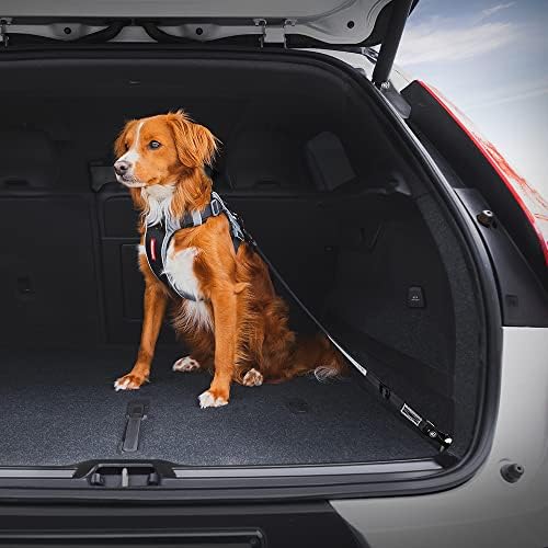 EzyDog Click ISOFIX Standard Dog Seat Belt Restraint, 17-26in