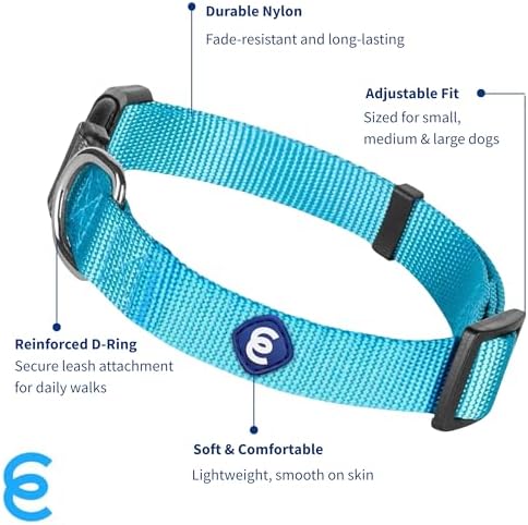 Blueberry Pet Essentials Large Dog Collar in Turquoise | Adjustable & Eco-Friendly Durable Nylon Strap | Classic Collar for Large Dogs, Boy & Girl Pets