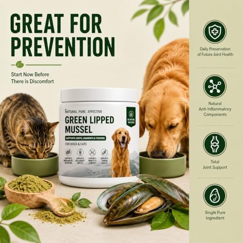 Green Lipped Mussel Powder for Dogs and Cats – 100% New Zealand Mussels, Joint & Mobility Support Supplement for Dogs and Cats, Easy-to-Mix Daily Wellness Powder, 2.64 oz, Up to 250 Servings