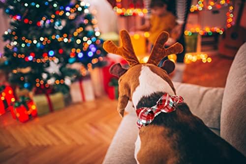 Lionet Paws Christmas Dog Collar with Bowtie, Dog Bowtie Collar with Metal Buckle for Dogs, Adjustable Comfortable Dog Collar Girl Boy Gift, XL, Neck 16-26 in