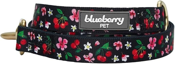 Blueberry Pet 9 Patterns Cherry Garden Black Dog Leash 5 ft x 3/4", Medium, Leashes for Dogs