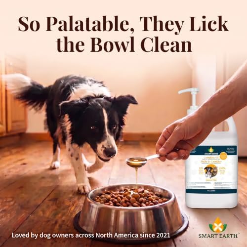Smart Earth Camelina Oil for Dogs - Omega 3, 6, 9 Supplement for Healthy Skin, Shiny Coat & Flexible Joints - Dog Joint Supplement - Natural Canine Wellness - Omega 3 for Dogs (Pump Included - 64oz)