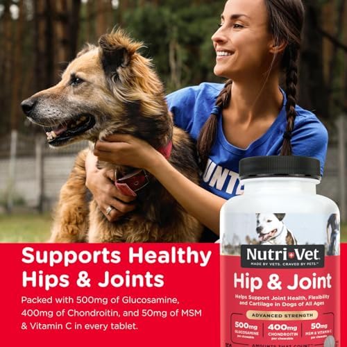 Nutri-Vet Hip & Joint Supplement for Dogs, Glucosamine Chondroitin, 150 Ct