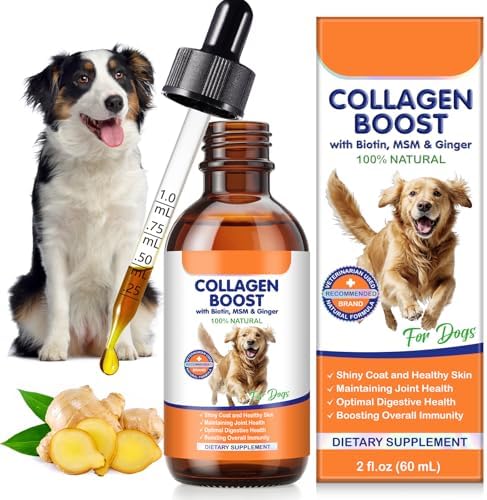 Liquid Collagen Supplement for Dogs – with Biotin, MSM & Ginger – Supports Joint Health, Skin & Coat, Digestion & Immunity – 2 fl oz (60 ml)