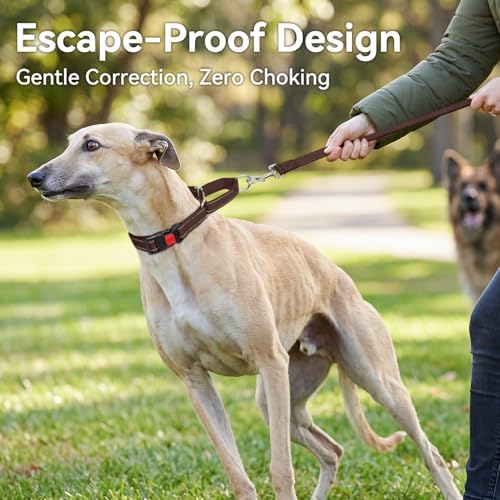 Joytale Martingale Collar for Dogs, Escape Proof No Pull, Brown, L