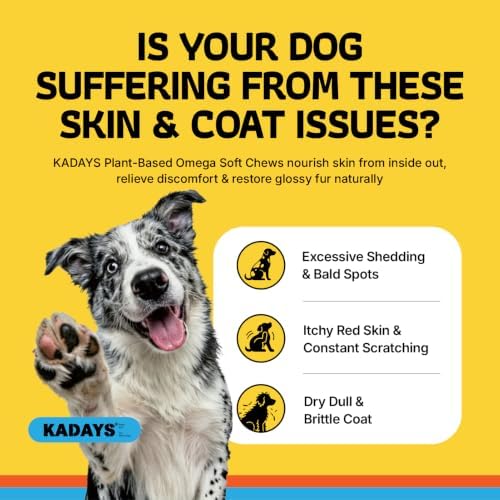 Omega 3 Skin and Coat Supplement for Dogs 200 Chews Meat-Free Dog Omega 3 Chews with EPA & DHA Fatty Acids Dry Skin Relief Shedding Allergy Itching Promotes Heart Hip & Joint Health Chicken Flavor