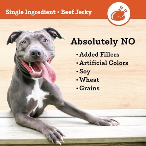 Colorado Naturals Beef Jerky Strips Dog Treats, 16 oz – All-Natural, Made in USA, No Fillers or Preservatives – Great for Muscle Development