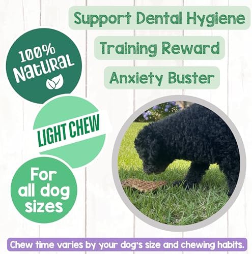 Nature Gnaws USA Beef Lung Filets for Dogs (8oz) - Single Ingredient Natural Dog Chew Treats – Made in USA - Rawhide Free