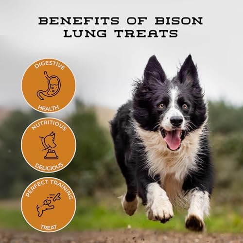 Bison Cubes: Pure Bison Dog Treats - All Natural, Vet Approved, Single Ingredient, Grain Free, Healthy & Nutritious Treats for Dogs (Bison Lung, 16oz)