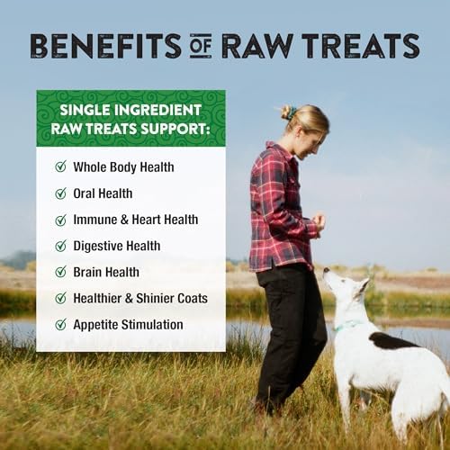 Northwest Naturals Raw Rewards Freeze-Dried Lamb Liver Treats - 3oz