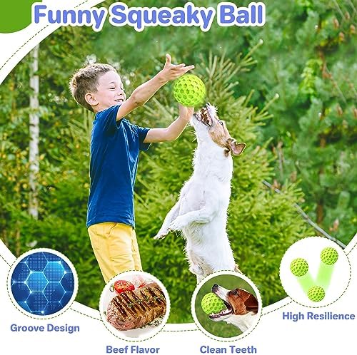 DISSKNIC Indestructible Squeaky Dog Balls, Interactive Dog Toys for Aggressive Chewers Large Breed for Relieving Anxiety, Dog Chew Toys Balls for Aggressive Chewers, Outdoor Dog Toys Dog Water Toys