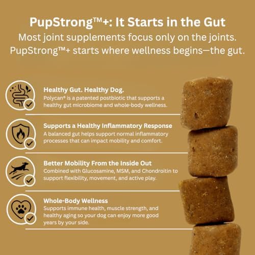 Pupstrong™+ Hip & Joint Support Soft Chews for Dogs – Powered by Polycan® Postbiotic – Supports Gut Health, Mobility, Joint Flexibility, Immune Health & Healthy Aging – 120 Chews