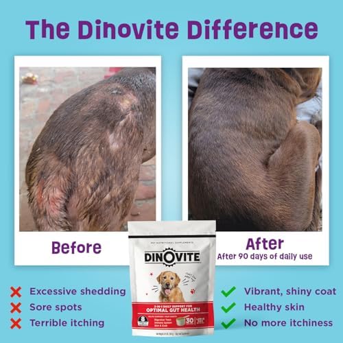 Dinovite Probiotics for Medium Dogs, Probiotic Food Topper, 30 Servings