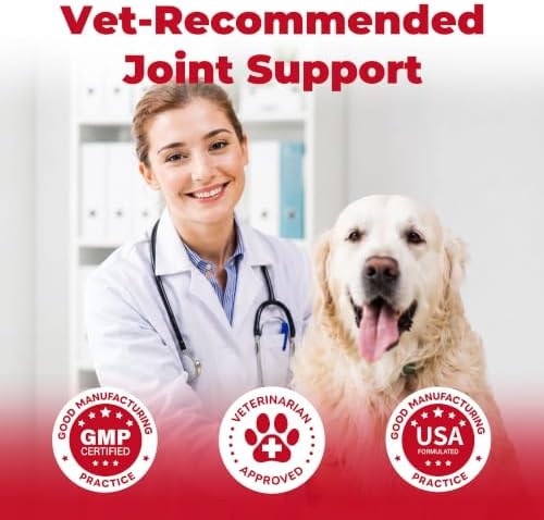 Dog Pain Relief, Dog Arthritis Pain Relief Support, Joint Pain Support for Dogs, Anti-Inflammatory Support for Mobility & Comfort, Helps Support Osteoarthritis Discomfort, Oral Suspension, 1.01 fl oz