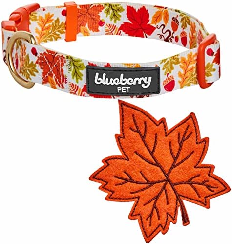 Blueberry Pet Thanksgiving Fall Maple Adjustable Dog Collar with Detachable Accessory, Large, Neck 18"-26"