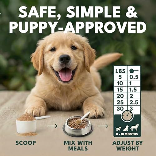 Puppy Probiotic Powder + Colostrum - NovaTails, Gut Health, 14oz