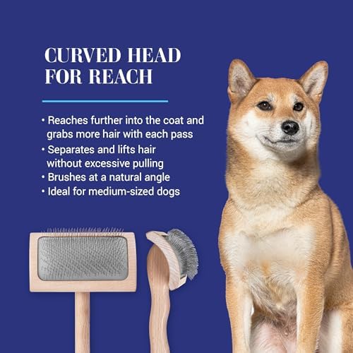 Chris Christensen Mark VI Curved Back Slicker Brush for Dogs, Medium, Stainless Steel, Brown