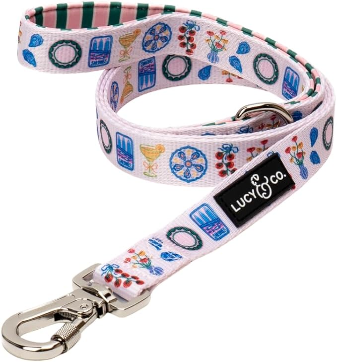 Lucy & Co. Dolce Vita Dog Leash, Durable Matching Dog Lead with Heavy Duty Hardware, Large
