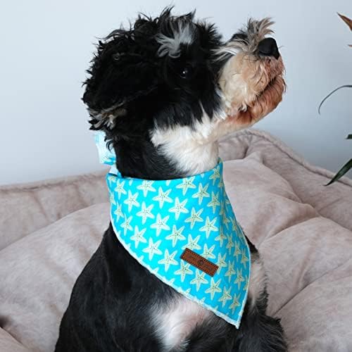 lionet paws Summer Dog Bandana Starfish for Small Medium Large Dogs, Large (Pack of 1), Small