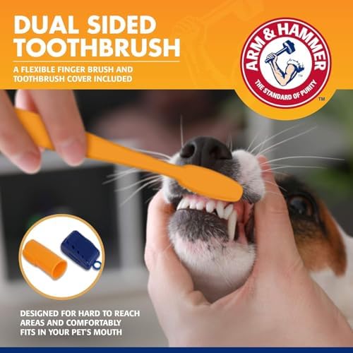 Arm & Hammer Tartar Control Dog Dental Kit, Banana Mint, 3-Piece, 2-Pack | Enzymatic toothpaste with toothbrush and fingerbrush, baking soda formula safe for puppies