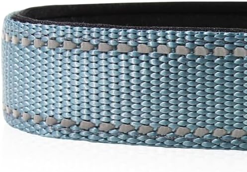 Joytale Reflective Dog Collar, Adjustable Neoprene Padded, Gray S