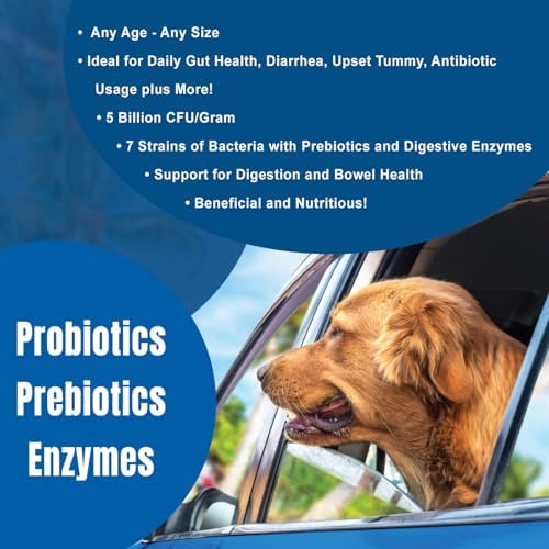 DOGZYMES Daily Balance Canine Supplement by Nature’s Farmacy – Probiotics + Prebiotics + Digestive Enzymes – 5 Billion CFUs – Whey Base – 1 lb (454 g)