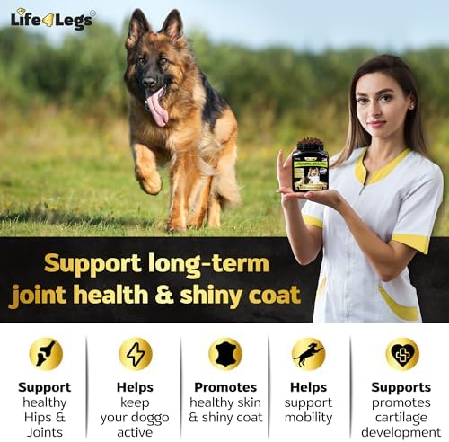 Soft Chews Hip and Joint Supplement for Dogs - Dog Joint Pain Relief Treats - Glucosamine, Chondroitin, Turmeric - Mobility Supplement (Bacon - 30 Soft Chews)