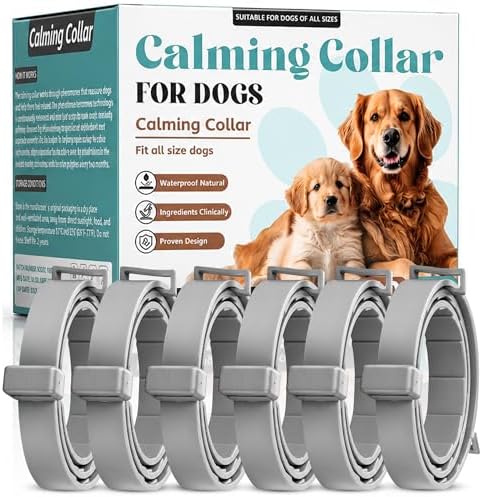 Calming Collar for Dogs, 6-Pack, 25 Inch, Grey