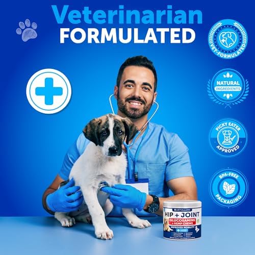 Hip and Joint Supplement Dogs - 120 Treats - Hemp and Joint Chews for Dogs