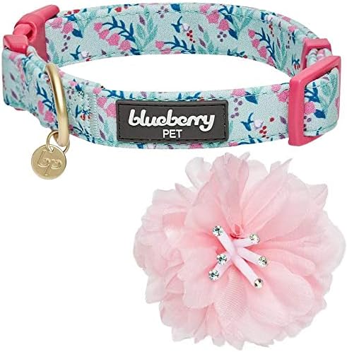 Blueberry Pet Floral Power Lily of The Valley Designer Teal Green Adjustable Dog Collar with Detachable Pink Peony, Medium, Neck 14.5"-20"