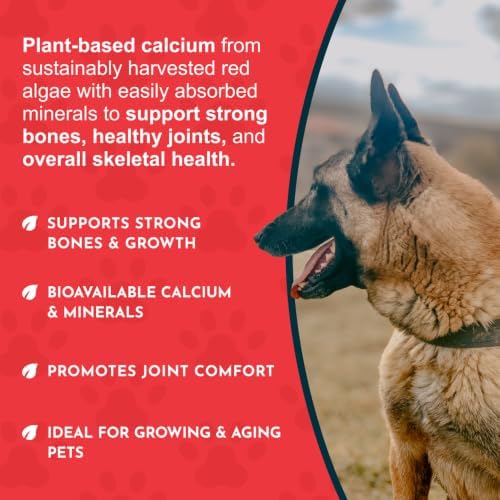 Animal Essentials Sea-Cal - Pure Seaweed Calcium Powder for Dogs with Magnesium, Joint Supplement for Dogs & Cats for Healthy Bones & Teeth, Joint Health, Vegan Icelandic Seaweed Calcium - 8.5 oz
