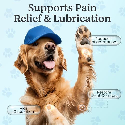 Doggie Herbs Ruff Joints Powder- Advanced Hip & Joint Support for Dogs- Glucosamine, Devil's Claw & Meadowsweet- Mobility & Stiffness Supplement- Pure Active Formula, No Fillers- TCM Doctor Formulated