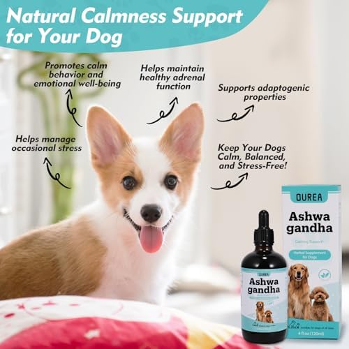 Ashwagandha Drops for Dogs
