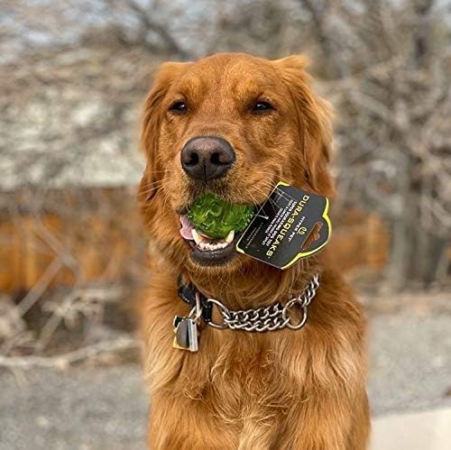 Hyper Pet DuraSqueak Dog Ball Toy, Interactive, Floats, Squeaks, Dog Balls for Fetching, Alternative to Traditional Tennis Balls - for All Breeds | Interactive Dog Ball That Floats & Squeaks, a Great Alternative to Traditional Tennis Balls for Fetching
