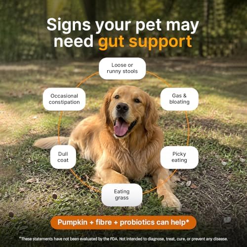 Pumpkin Gut Support for Dogs – Digestive Health Supplement with Natural Fiber & Probiotics, 60 Servings | Kubi Pets