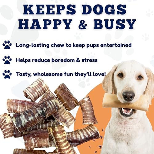 Amazing Dog Treats - 6 Inch Beef Trachea Dog Chews (10 pcs - 16.5 oz) - Trachea Dog Treats - NO Hide - Digestible and Safe Chews for Dogs - Glucosamine and Chondroitin for Joint Health