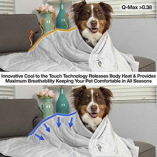 PetFusion Premium Cat and Dog Cooling Blanket, Lightweight Pet Blanket | Machine Washable | Multiple Sizes: for Pets Small to Extra-Large | Multiple Colors: Grey and Brown